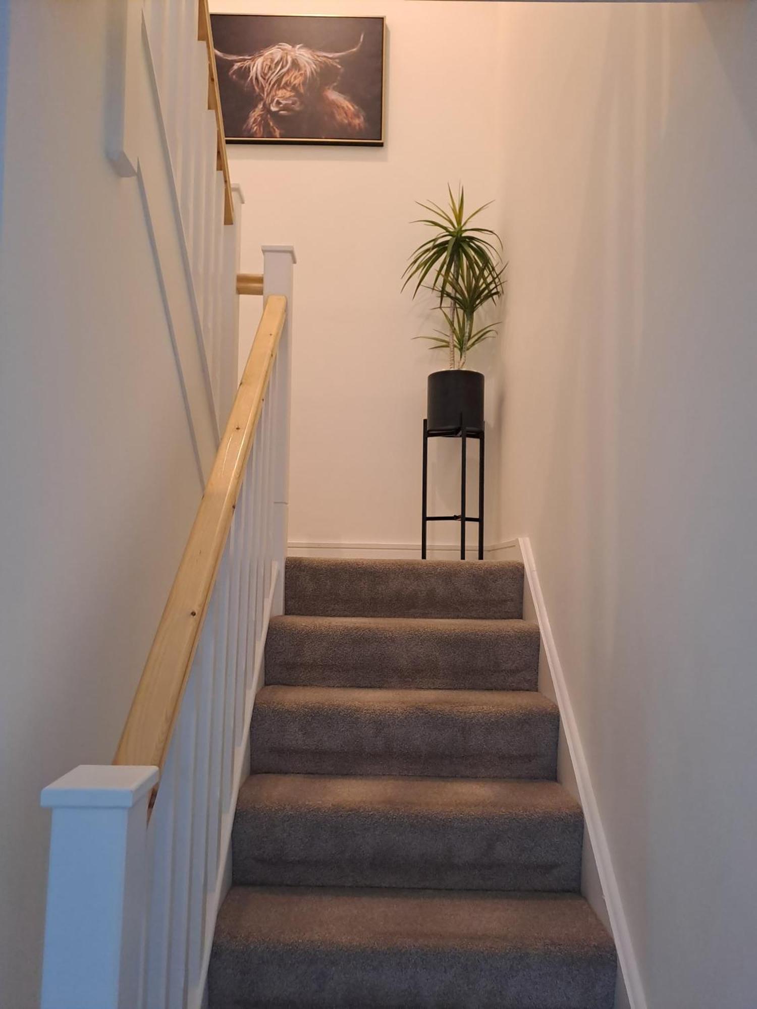 Cozy Bedroom In Lucan, Dublin Eksteriør bilde
